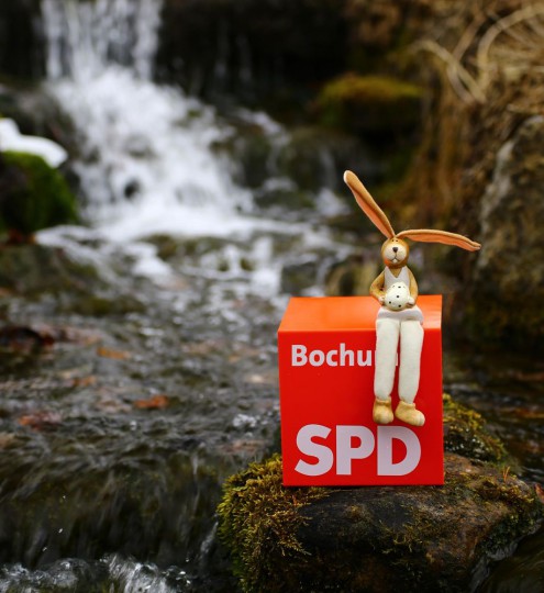 Foto von der Quelle im Botanischen Garten der Ruhr-Universität Bochum.