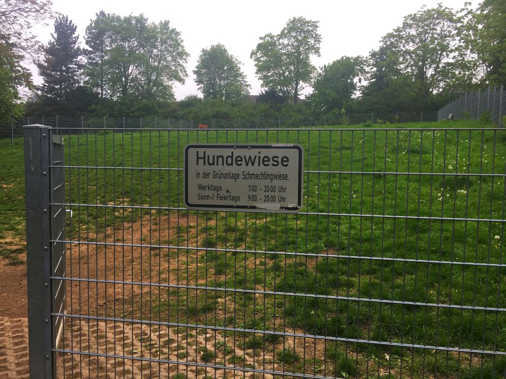 Die Hundewiese Schmechtingwiese müsste größer sein, sagt Deborah Steffens.