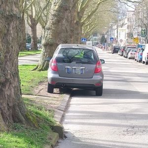Falsch parkende Autos beschädigen Wiese und Bäume.