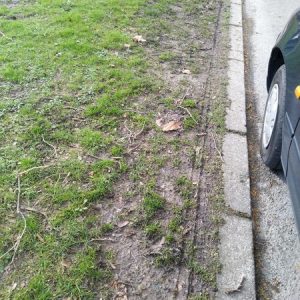 Die Reifen hinterlassen sichtbare Beschädigungen im Rasen.