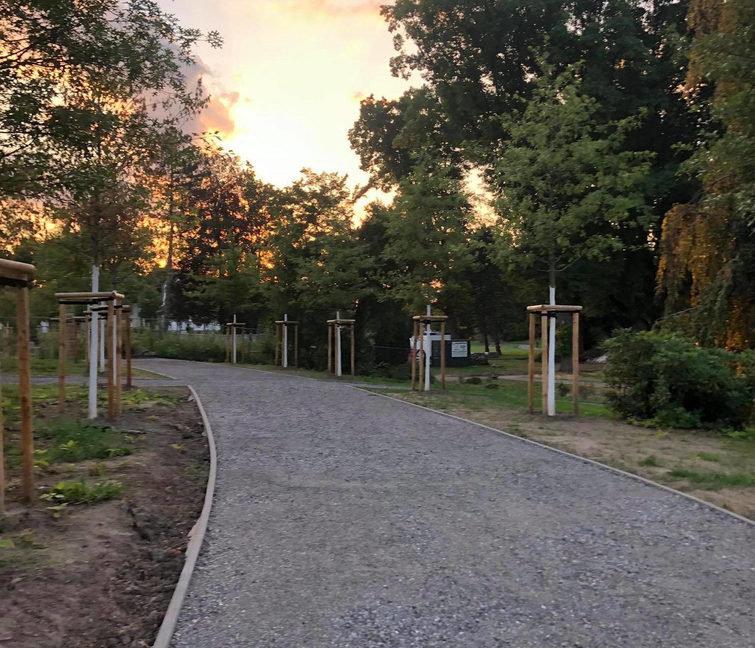 Die Arbeiten im Park Am Ehrenmal zeigen erste Erfolge.