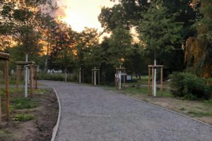 Die Arbeiten im Park Am Ehrenmal zeigen erste Erfolge.
