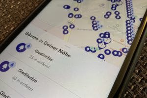 Bochum soll eine Baum-App nach Gelsenkirchener Vorbild bekommen.