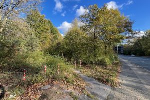 Zugang zum ehemaligen Haldenweg