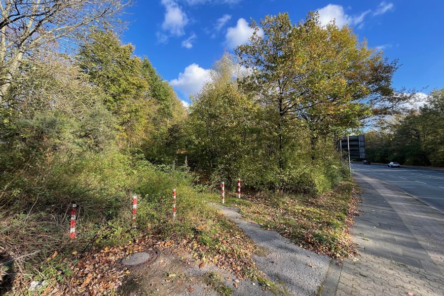 Zugang zum ehemaligen Haldenweg